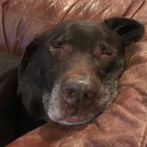 Meet your Posher, Patricia